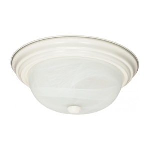 Nuvo 60-222 60 Watt 2 Light LED - 13