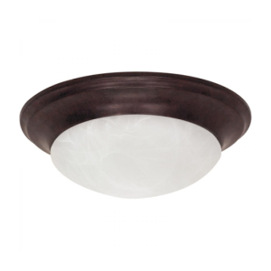 Nuvo 60-281 60 Watt 2 Light LED - 14