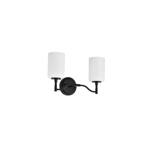 Satco/Nuvo 60-8212 Liam 2 Light Vanity 120 Volts 100 Watts E26 Base Matte Black Finish