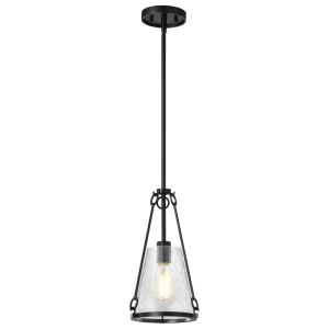 Satco/Nuvo  60-8255 Valentine Small Pendant 120 Volts 60 Watts E26 Base Black Finish 