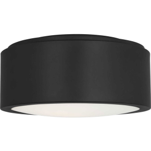 Generation Lighting GLF1041MBK Albee 2 Light 10
