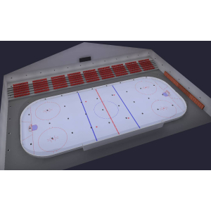 Ice Hockey Facility Complete LED Smart Lighting Package (Indoor Arena)